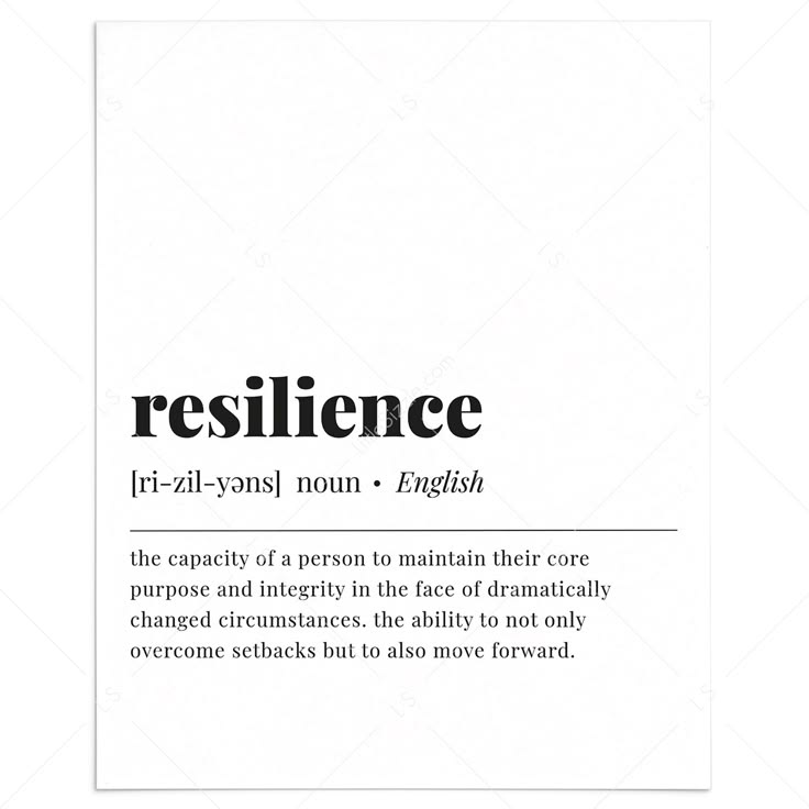 From Stress to Strength: Leadership Resilience Through the Grunt Formula